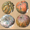 Four Vibrant Multicolored Pumpkins With Green Orange Pink Textured Skin