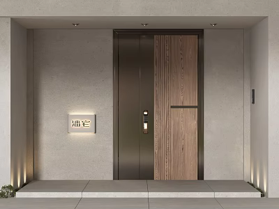 Modern Entryway Interior Double Door With Metal And Wood Panel Design 3d model