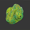 Vibrant Green And Yellow Chameleon With Detailed Skin Texture On Black Background