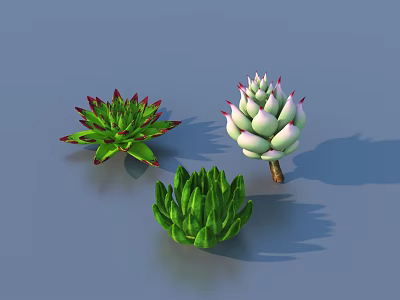Assorted Succulent Plant Combination With Green Red And White Varieties On Gray Surface 3d model