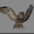 Gray Owl Spreading Wings While Flying Against Gray Background With Detailed Feathers 3d model