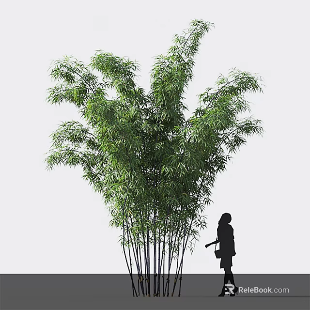 Lush Bamboo Plants With Abundant Green Foliage And Tall Stems 3d model 