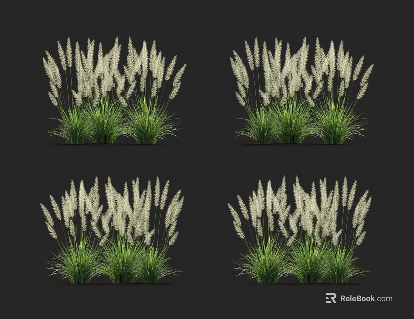 White Long Spiked Flowers and Grasses with Green Leaves on Black Background 3d model 