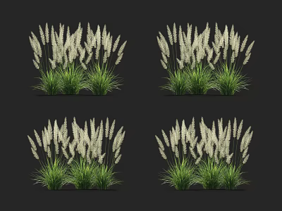 White Long Spiked Flowers and Grasses with Green Leaves on Black Background 3d model