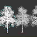 Three Green Leafy Trees With Brown Trunks Against White Background