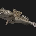 Unique Aquatic Fish With Large Eyes Open Mouth Textured Skin And Fan Shaped Fins