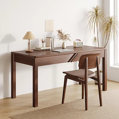 Modern Wooden Desk With Table Lamp Books Laptop And Wooden Chair Near Potted Plant 3d model