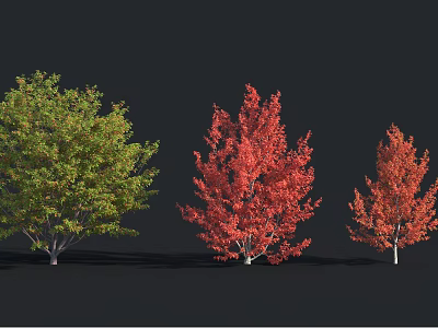 Vibrant Green and Red Leaf Shrubs in Autumn Garden Landscaping Design 3d model