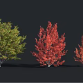 Vibrant Green and Red Leaf Shrubs in Autumn Garden Landscaping Design