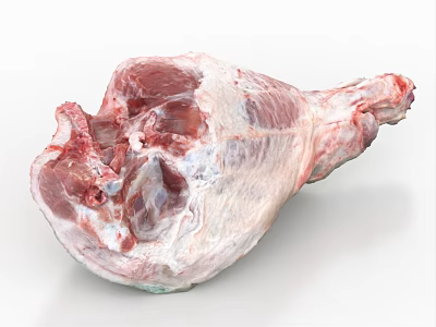 Fresh Raw Pork Leg Meat Uncooked Close Up High Quality Food View 3d model