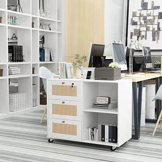 Office cabinet decoration combination scene 3d model