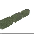Three Neatly Trimmed Green Hedge Shrubs for Garden Landscaping Design