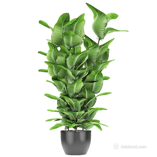Lush Green Leafy Indoor Potted Plant With Healthy Foliage And Decorative Pot 3d model 
