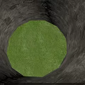 Arbor With Green Leaves Standing On Paved Ground Near Isolation Protection Block And Person