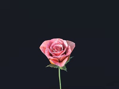 Beautiful Pink Rose with Green Stem and Leaves on Black Background 3d model