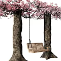 Wooden Swing Play Equipment Hanging Between Cherry Blossom Trees With Pink Flowers