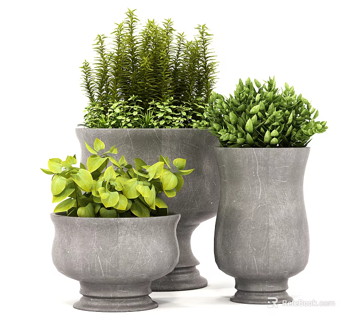 Bonsai Potted Plants In Three Gray Stone Planters With Lush Green Foliage 3d model 