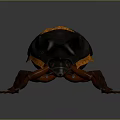 3D Rendered Beetle Model Featuring Dark Body Orange Band Horned Head And Brown Legs
