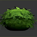 Vibrant Green Leafy Round Shaped Plant With Lush Foliage And Round Structure On Dark Background