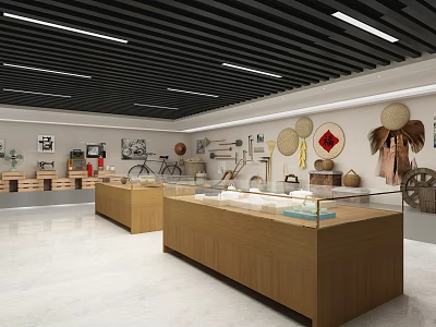 Traditional Artifacts Exhibition Hall With Wooden Display Cases Glass Tops And Wall Decorations 3d model