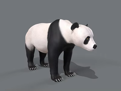 Realistic 3D Panda Model With Black And White Fur Standing On Gray Background 3d model