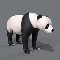 Realistic 3D Panda Model With Black And White Fur Standing On Gray Background