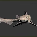 Pink Spotted Shark Aquatic Animal 3D Model Displayed On Dark Background With Reflection