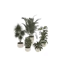 Decorative Ornament Set With Various Indoor Potted Greenery And White Ceramic Pots