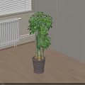 Indoor Potted Bonsai Plant With Green Leaves On Wooden Floor Near White Cabinets And Window