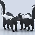 Two Black And White Skunks Standing With Long Fluffy Tails On Gray Surface 3d model