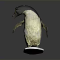 Black and White Penguin Standing on White Base with Gray Background 3d model