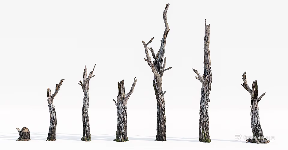 Row of Arbor Tree Trunks With Gnarled Branches And Textured Bark 3d model 