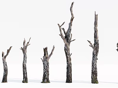 Row of Arbor Tree Trunks With Gnarled Branches And Textured Bark 3d model