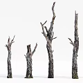 Row of Arbor Tree Trunks With Gnarled Branches And Textured Bark 3d model