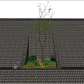 Roof Garden On Tiled Roof With Sunlight Tree Flowers And Blue Sky