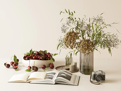 Decorative Ornament Set with Cherries Open Book Camera Flower Vase Candle and Tray for Tabletop 3d model