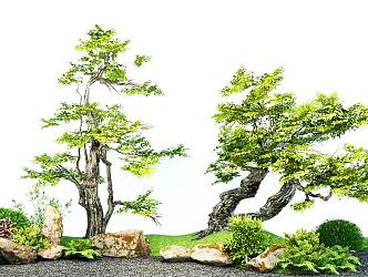 arbor courtyard old pile tree old tree landscape tree garden tree 3d model