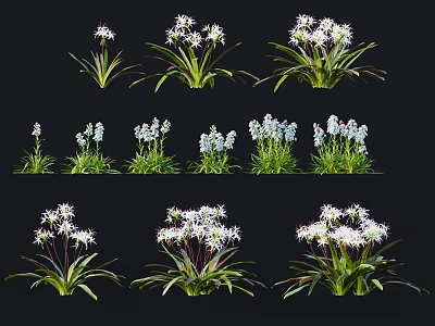 White Flower Plants With Green Leaves In Multiple Groups On Black Background 3d model