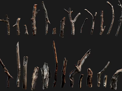 Natural Wooden Branches In Various Sizes And Different Shapes For Decorative Use 3d model