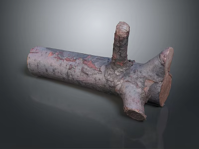 Natural Wooden Log with Branched Structure and Textured Surface for Decorative Use 3d model