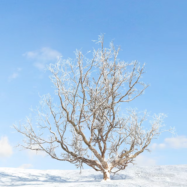 Frost Covered Leafless Tree With Branches Against Blue Sky And Clouds 3d model 
