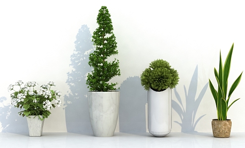 potted plant 3d model