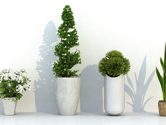 potted plant 3d model