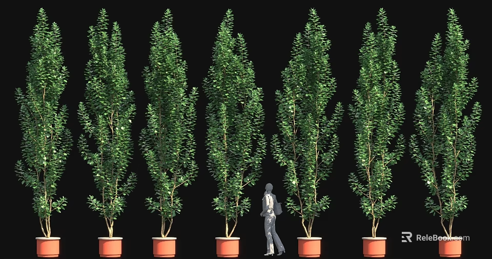 Rows of Green Potted Trees With Person Walking in Black Background 3d model 