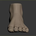 Man's Realistic Foot Model With Light Skin Tone On Dark Reflective Surface