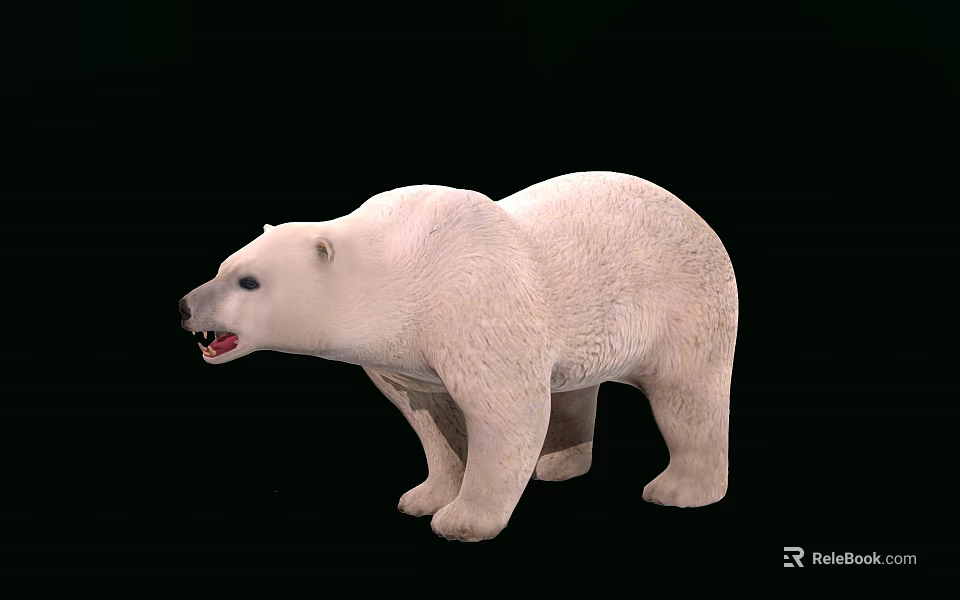 White Reptile Model Standing On Black Background With Open Mouth And Realistic Texture 3d model 