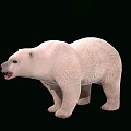 Modern polar bear 3d model