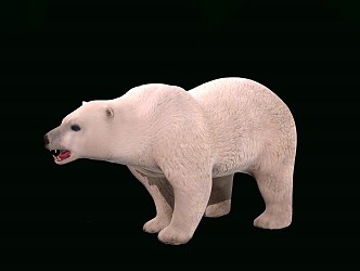 Modern polar bear 3d model