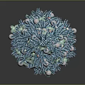 Blue Christmas Tree Decorated With Floral Ornaments And Pearl Beads