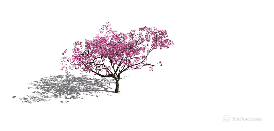 Vibrant Tree With Pink Blossoms And Delicate Branches Casting Shadow On Ground 3d model